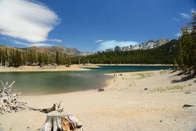 DSC_9979 (Large).JPG